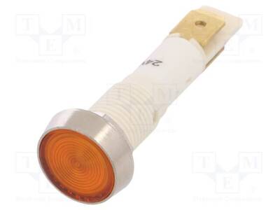 IND10P-24Y-C - 2