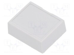 IT-P05010213T - ITALTRONIC