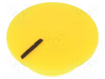 K21-YELLOW-L - 1