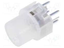 KS01-BL-2 - HIGHLY ELECTRIC