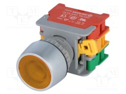 LBF22-1-O/C-Y - AUSPICIOUS