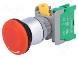 LEB22-1-O - AUSPICIOUS