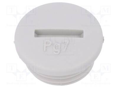 LP-52024848 - 1