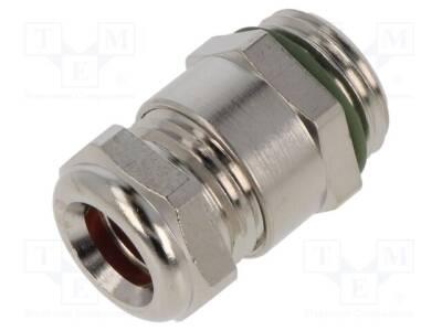 LP-52024935 - 1