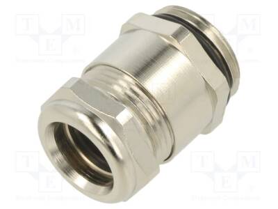 LP-52106950 - 1