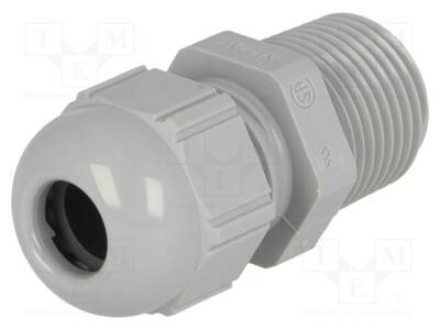 LP-53016050 - 1