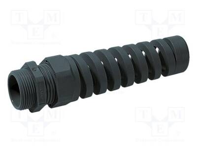 LP-53017810 - 1