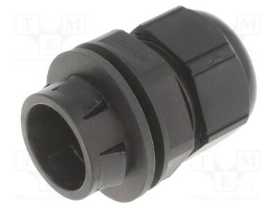 LP-53112887 - 1