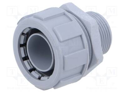 LP-55502445 - 1