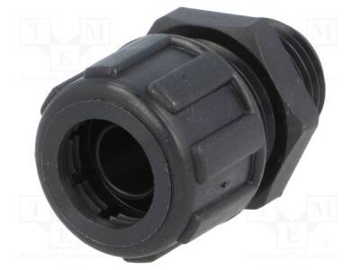 LP-55502465 - 1