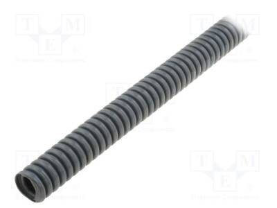 LP-61746939 - 1