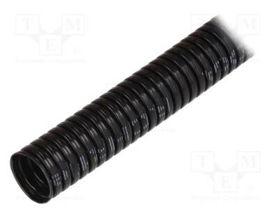 LP-61746955 - 1