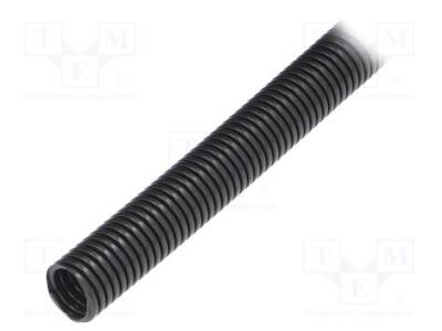 LP-61746965 - 1