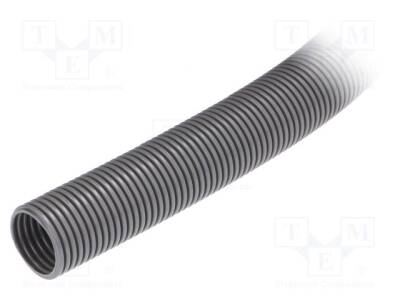 LP-61746980 - 1