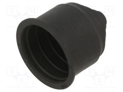 LP-65500255 - 1