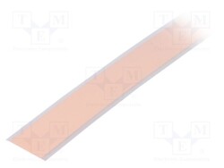LT-100-INT-CGW - Light Tape®