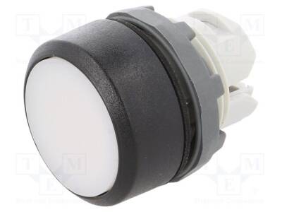 MP1-10W - 1