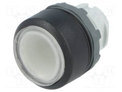 MP2-11C - 1
