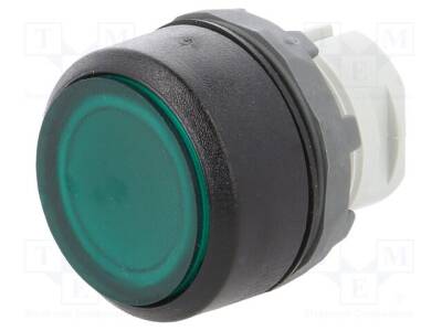 MP2-11G - 1