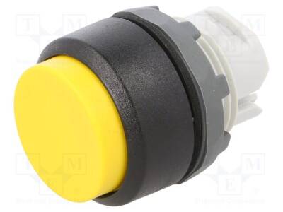 MP3-10Y - 1