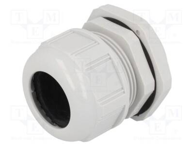 MX-936000378 - 1