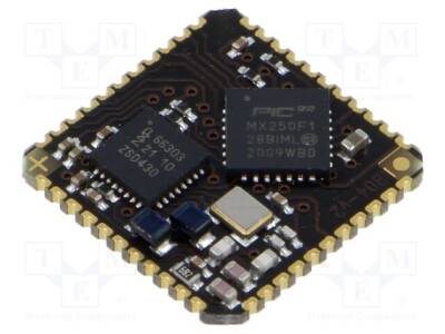 NANO-RS - 1