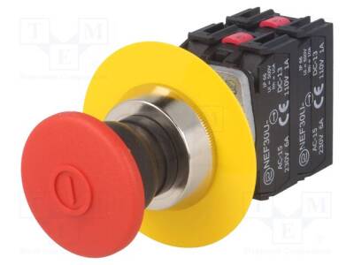 NEF30-UDR2X2YC - 2