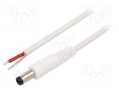 P21-TT-C100-050WH - 1