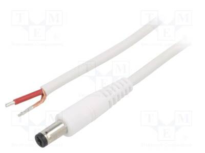 P55-TT-C100-050WH - 1