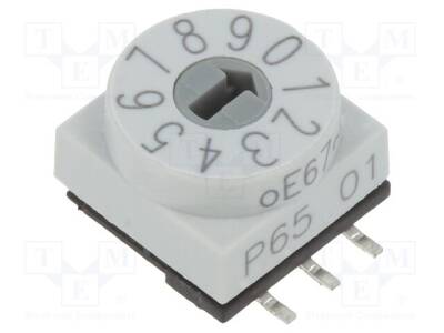 P65SMT101H - 1