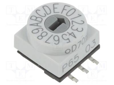 P65SMT103H - 1
