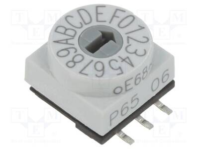 P65SMT106H - 1