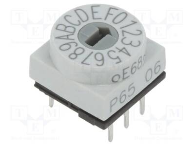 P65THR106H - 1