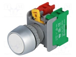 PBF22-1-O/C-W - AUSPICIOUS