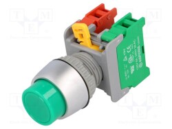 PBL22-1-O/C-G - AUSPICIOUS