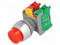 PBL22-1-O/C-R - AUSPICIOUS