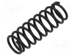 PG-519 - PIERGIACOMI