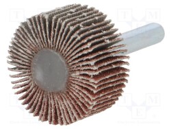 PG-RG.039 - PG PROFESSIONAL