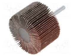 PG-RG.027 - PG PROFESSIONAL