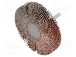 PG-RG.099 - PG PROFESSIONAL