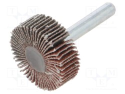 PG-RG.037 - PG PROFESSIONAL