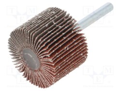 PG-RG.015 - PG PROFESSIONAL