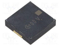 PKLCS1212E24A0-R1 - MURATA