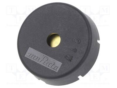 PKM22EPPH4001-B0 - 1