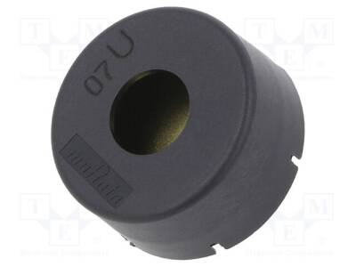 PKM22EPPH4007-B0 - 1