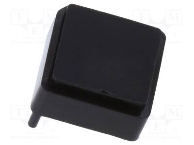 PL-001L-BK - 1