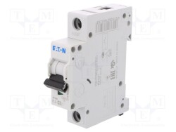 PL6-C2/1 - EATON ELECTRIC