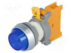 PLN22A-BL - AUSPICIOUS