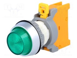 PLN22A-G - AUSPICIOUS