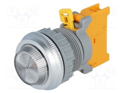 PLN22A-W - AUSPICIOUS